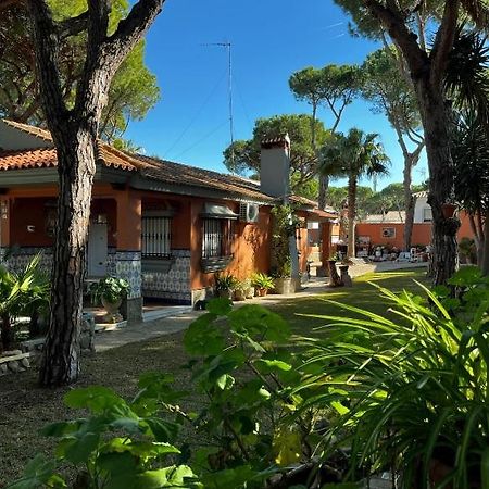 Chalet Los Pinos Con Piscina Privada Ново Санкти Петри Екстериор снимка