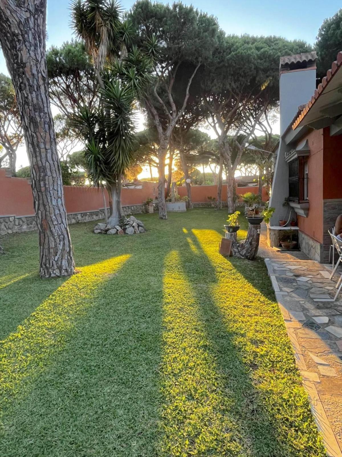 Chalet Los Pinos Con Piscina Privada Ново Санкти Петри Екстериор снимка